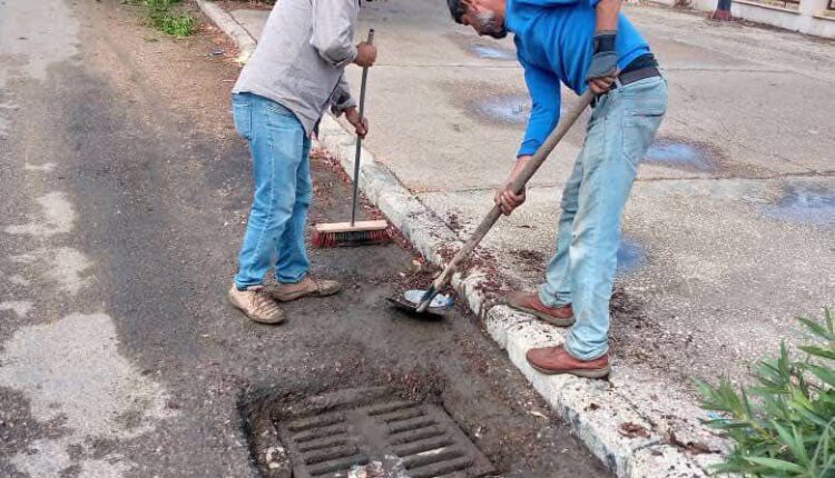 IMG_20251002_124238_470