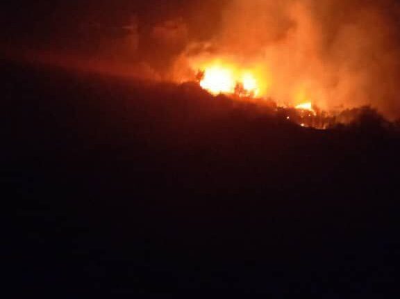 IMG_20251004_094459_663