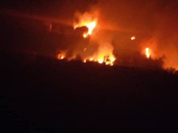 IMG_20251004_094500_293