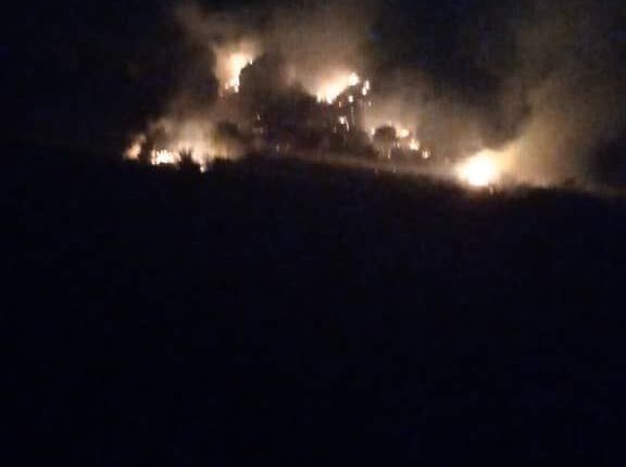 IMG_20251004_094500_524