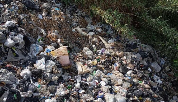 IMG_20251004_115209_303