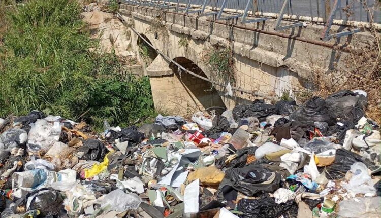 IMG_20251004_115209_450