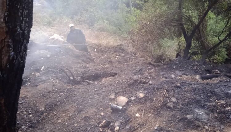 IMG_20251004_213238_973