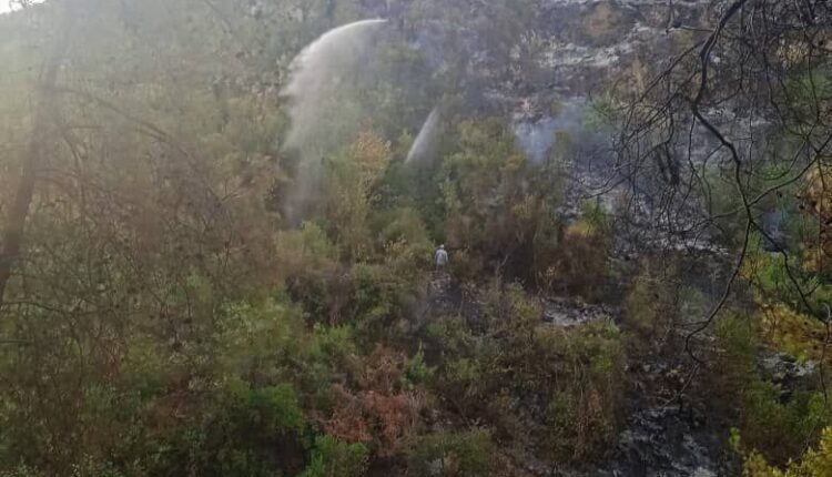 IMG_20251004_213239_185