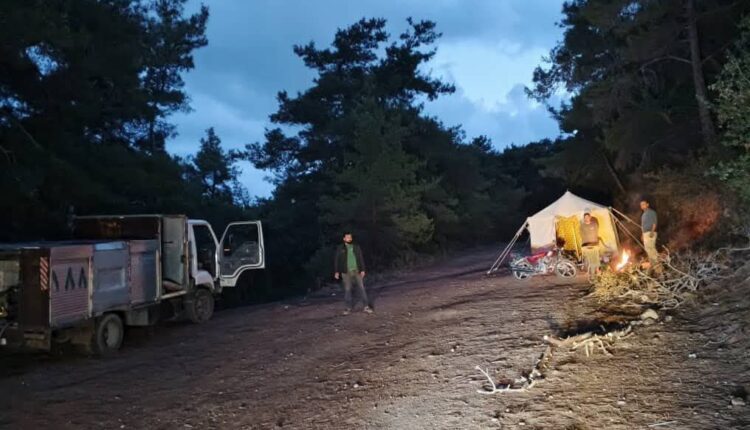 IMG_20251020_141913_499