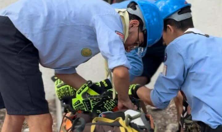 IMG_20251021_141212_143