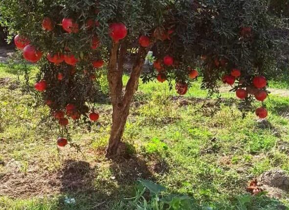 IMG_20251029_223619_640