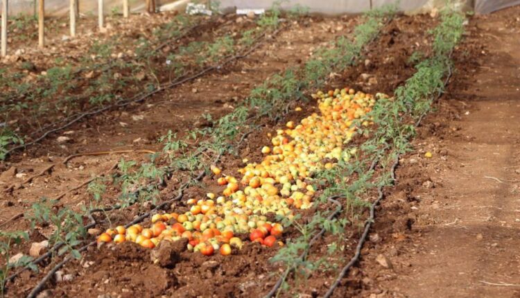 IMG_20251102_211155_041