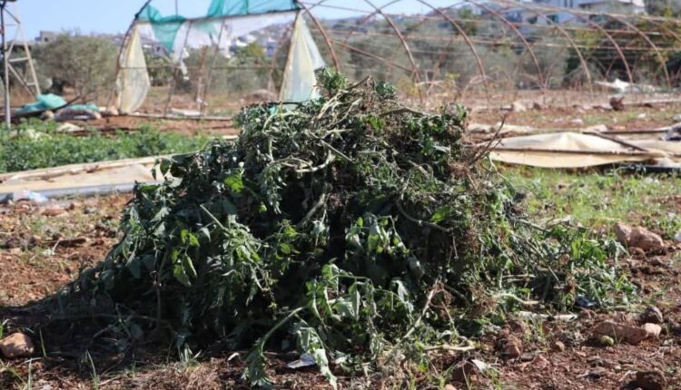 IMG_20251102_211155_400