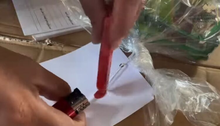 IMG_20251106_083910_753