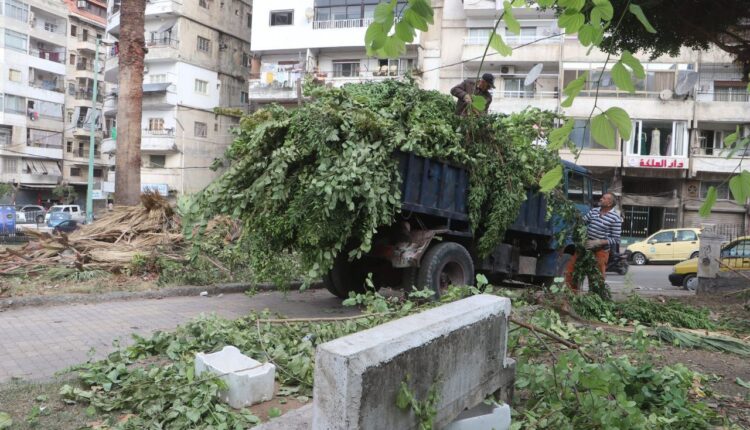 IMG_20251107_173452_259