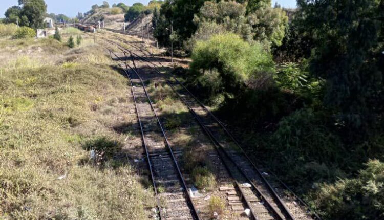 IMG_20251109_133503_040