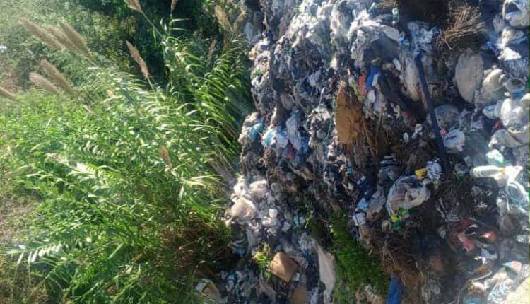 IMG_20251113_182918_987