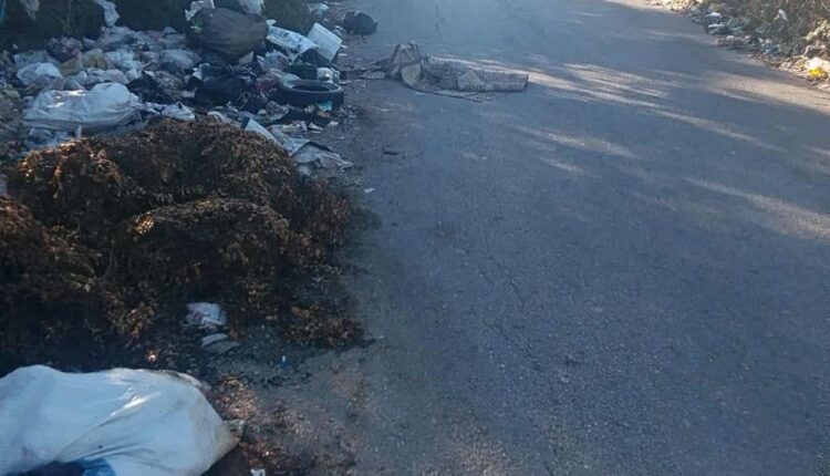 IMG_20251113_182919_373