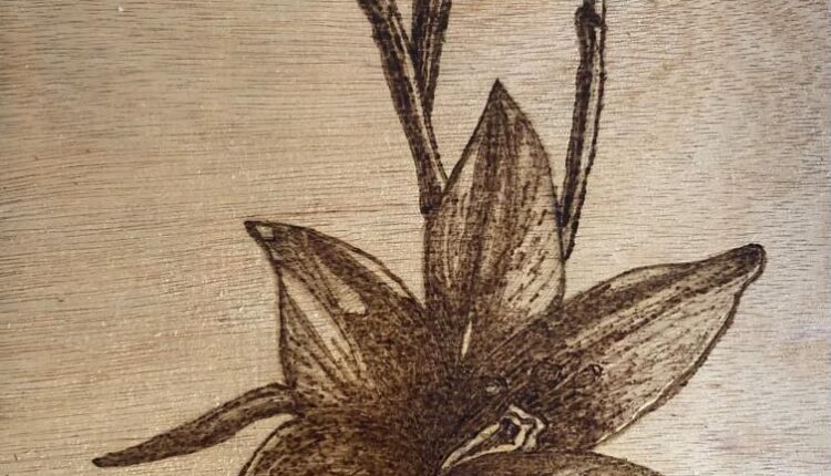 IMG_20251113_224047_801