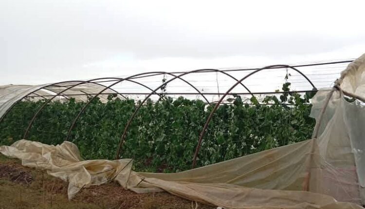 IMG_20251115_092728_884