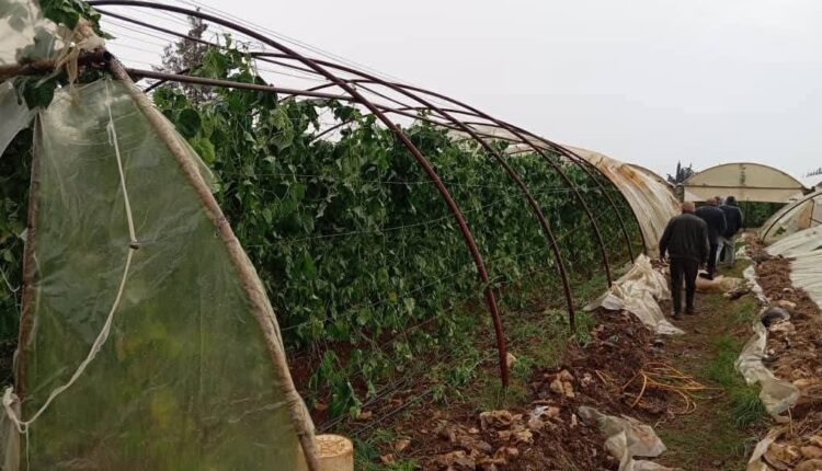 IMG_20251115_092729_171