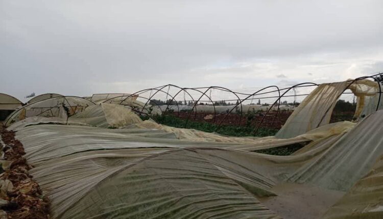 IMG_20251115_092729_648