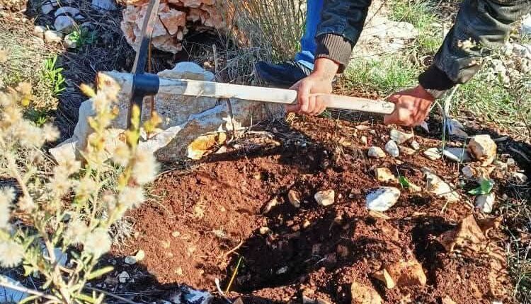 IMG_20251117_092022_681