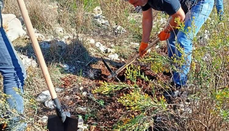 IMG_20251117_092022_700