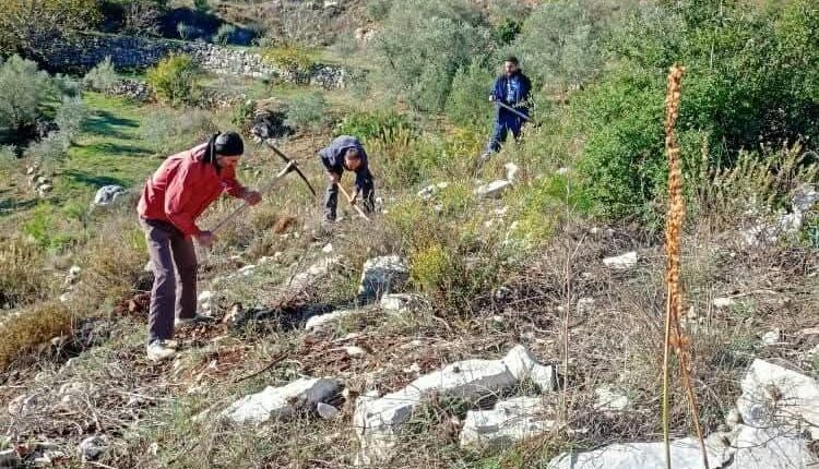 IMG_20251117_092023_049