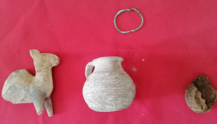 IMG_20251123_212132_318