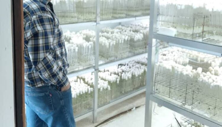 IMG_20251127_130151_422