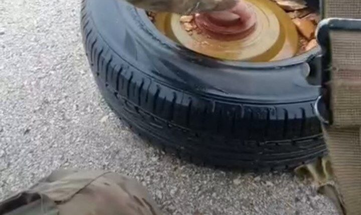 IMG_20251129_113054_362