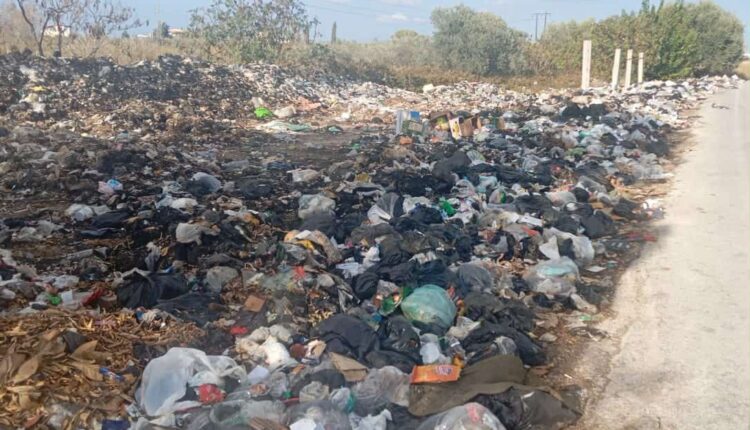 IMG_20251129_145220_214