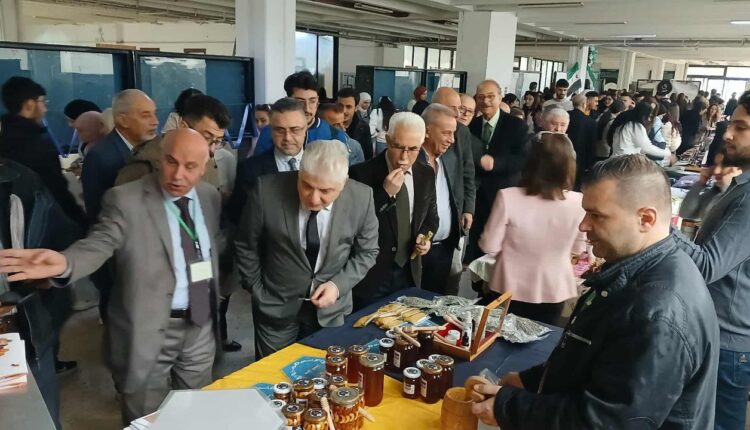 IMG_20251130_233131_812