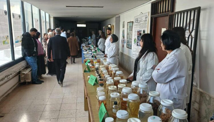 IMG_20251205_175142_767