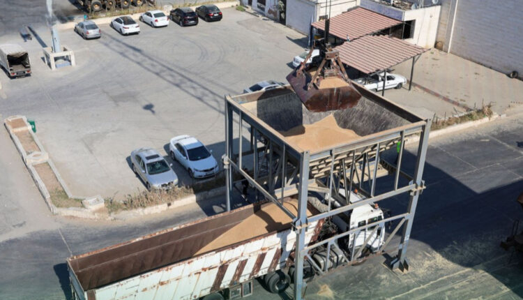 InShot_20251110_110642968