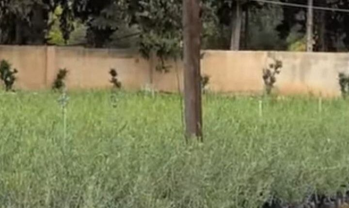 photo_2025-10-19_12-35-12