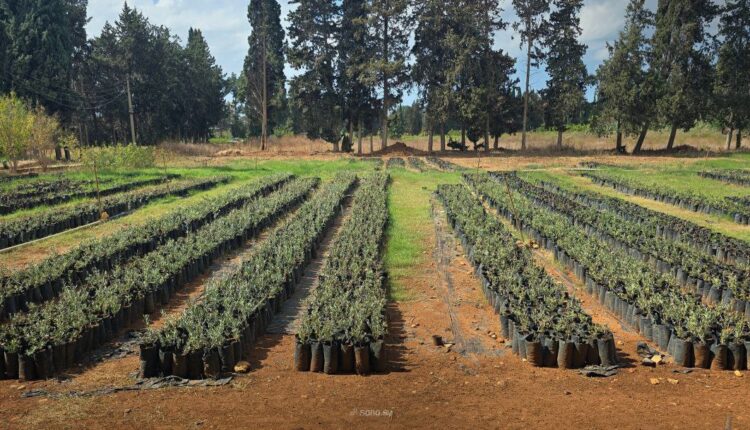 photo_2025-10-19_12-35-16