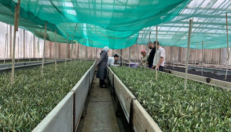 photo_2025-10-19_12-35-20