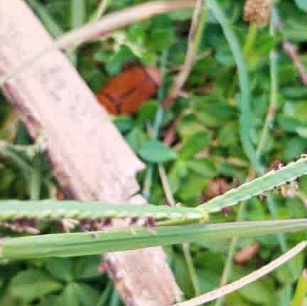 photo_2025-10-28_11-17-27