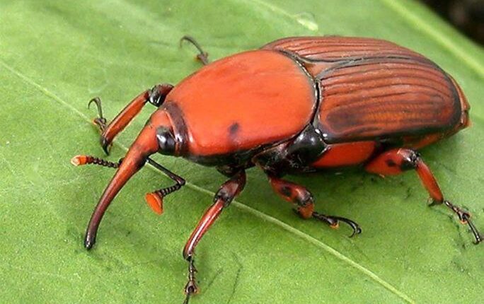 photo_2025-10-28_11-22-26