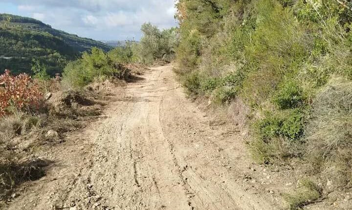 photo_2025-11-02_13-38-49