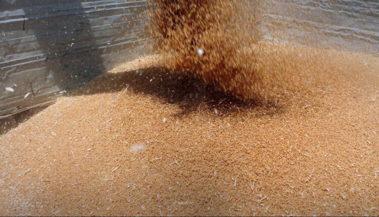 photo_2025-11-05_10-47-37