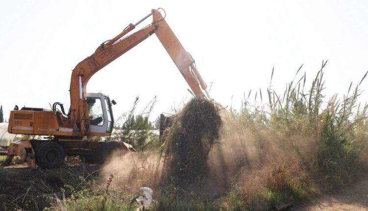 photo_2025-11-11_11-07-04