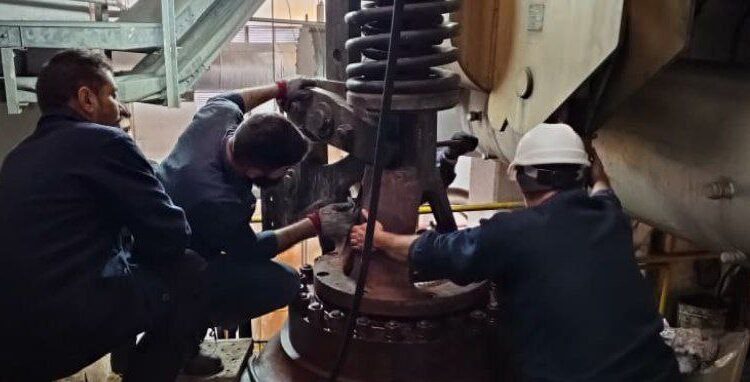 photo_2025-11-11_11-37-46