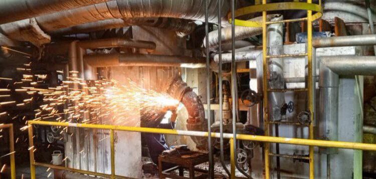 photo_2025-11-11_11-38-03