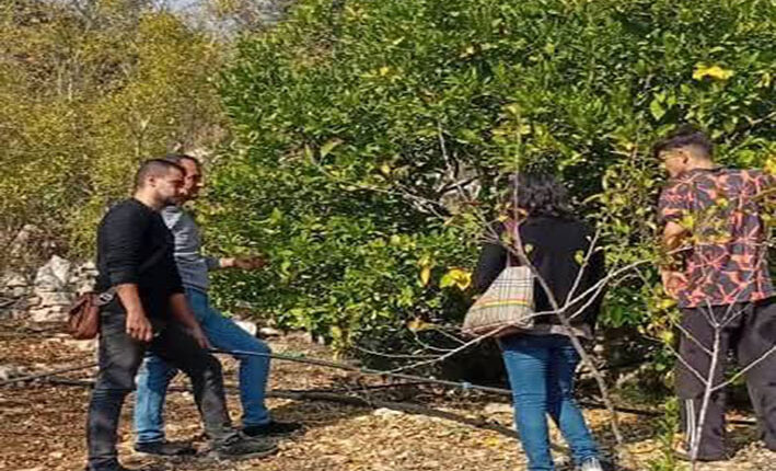 photo_2025-11-16_13-06-22