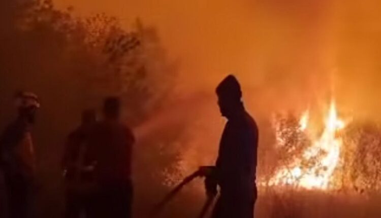 photo_2025-11-25_09-43-56