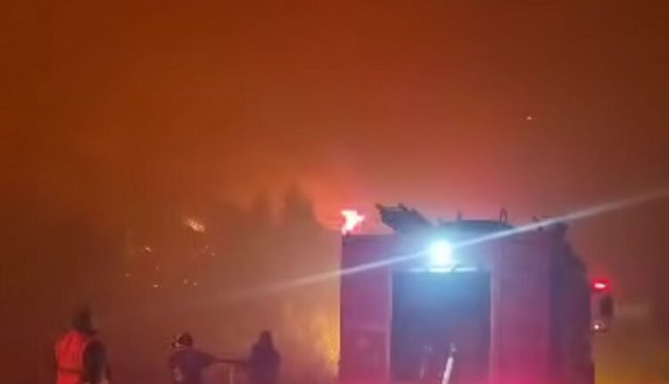 photo_2025-11-25_09-44-03