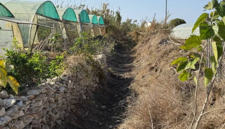 photo_2025-11-25_10-49-18