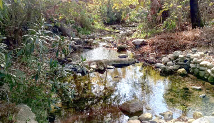 photo_2025-11-26_09-04-37