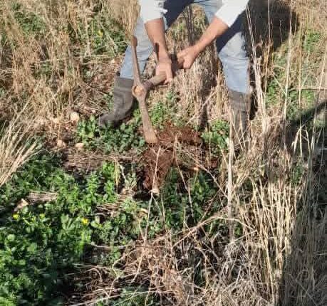 photo_2025-11-30_10-58-55