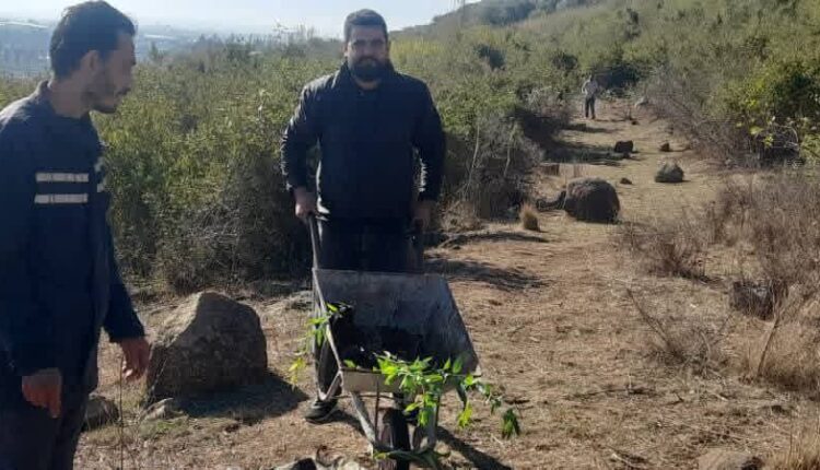 photo_2025-11-30_10-59-02