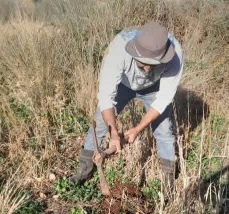 photo_2025-11-30_11-02-58